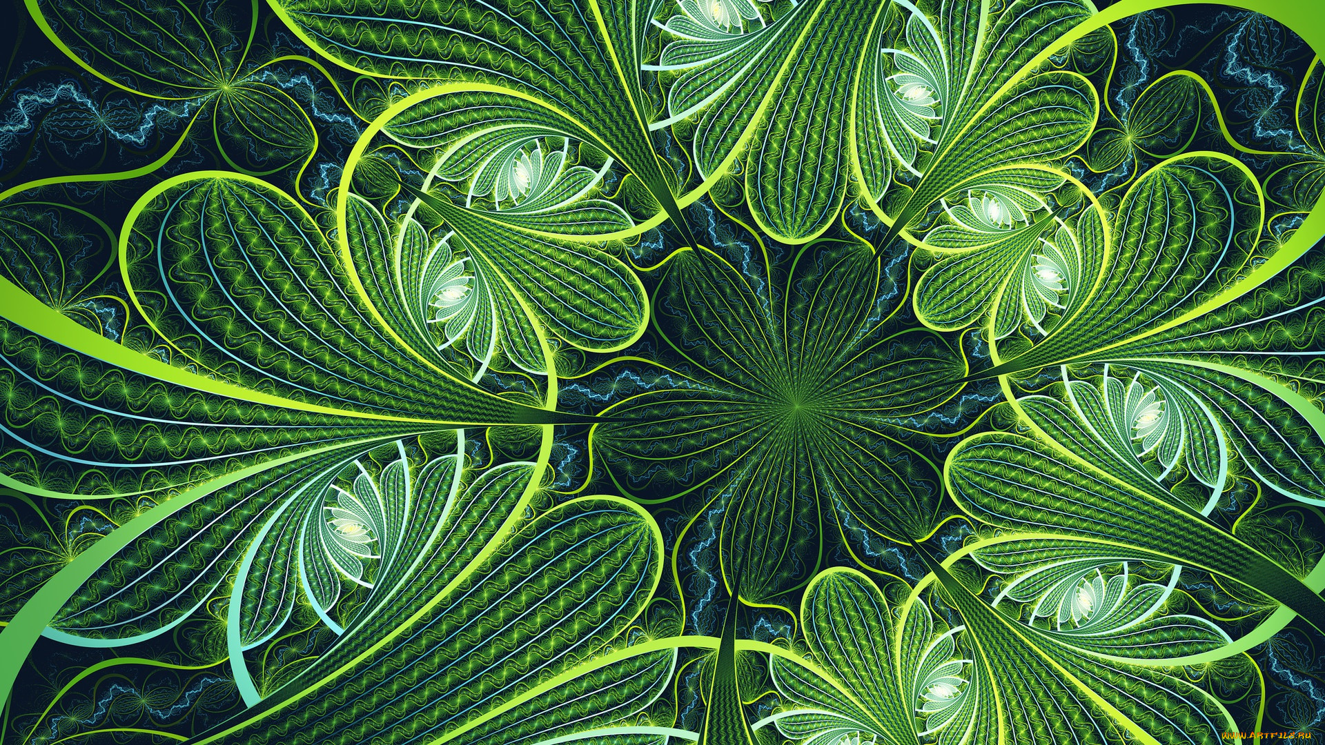 3 ,  , fractal, 